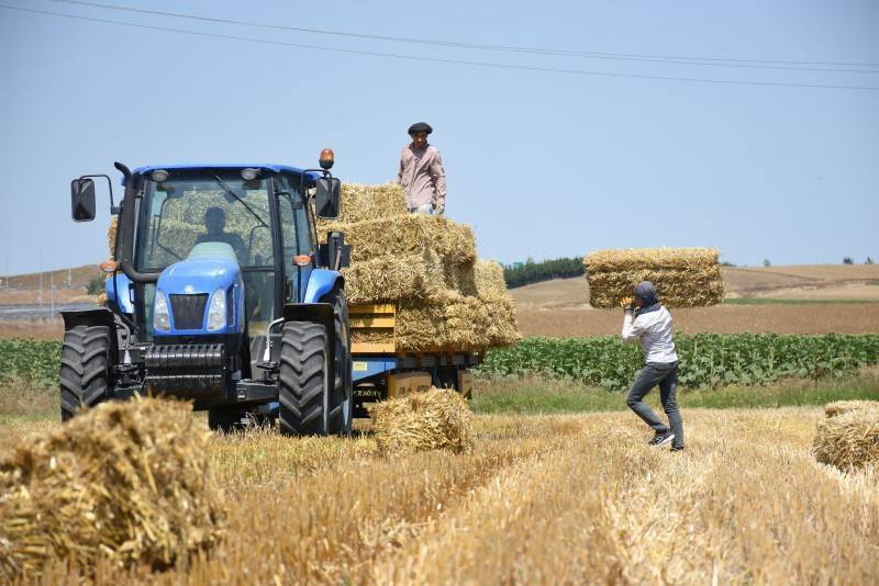 AGROEXPO